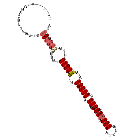 secondary structure