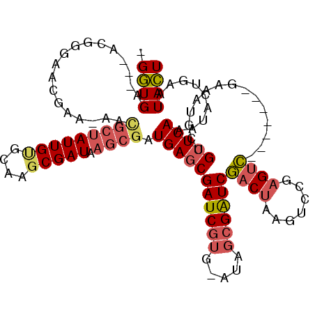 secondary structure