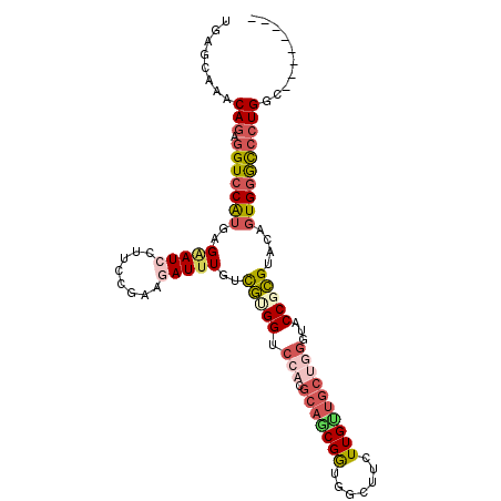secondary structure