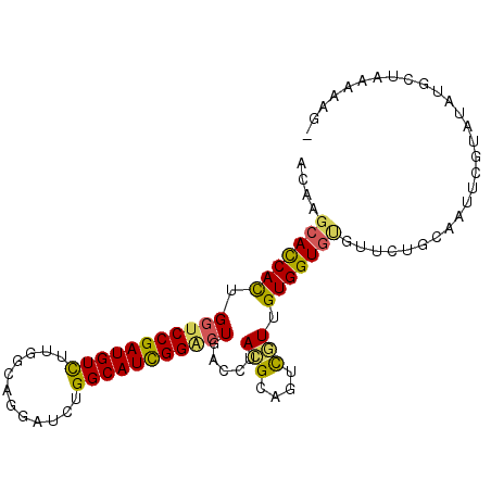 secondary structure