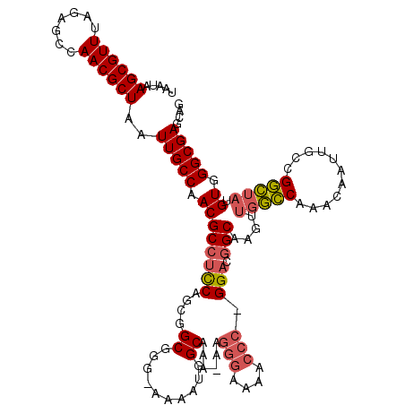secondary structure