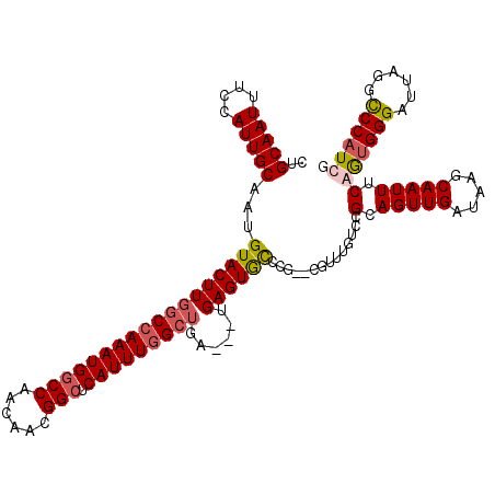 secondary structure