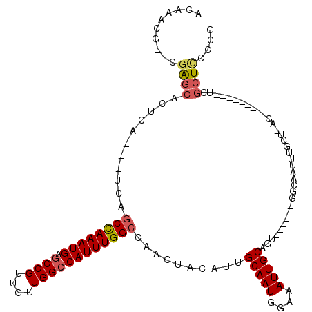 secondary structure