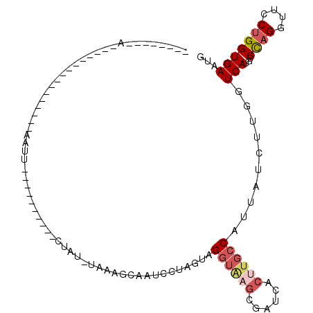 secondary structure