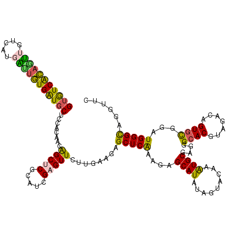 secondary structure