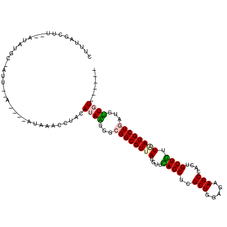 secondary structure