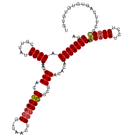 secondary structure