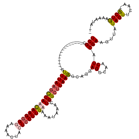 secondary structure