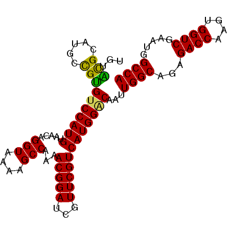 secondary structure