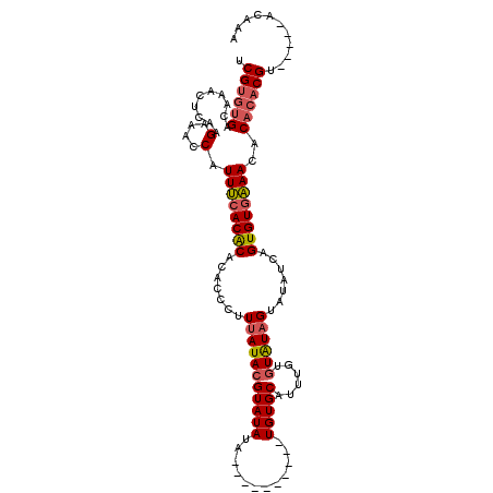 secondary structure
