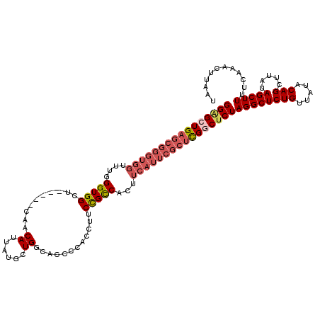 secondary structure