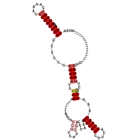 secondary structure
