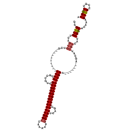 secondary structure