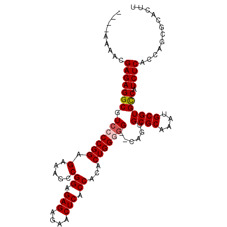 secondary structure