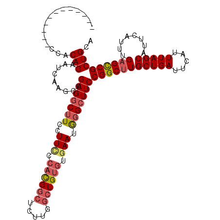 secondary structure