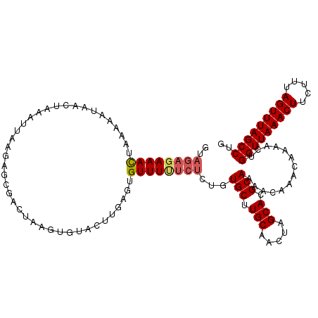 secondary structure