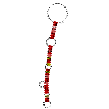 secondary structure