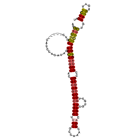 secondary structure
