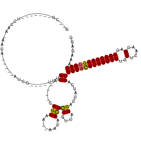 secondary structure