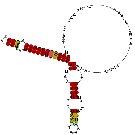 secondary structure