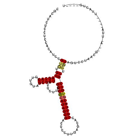 secondary structure