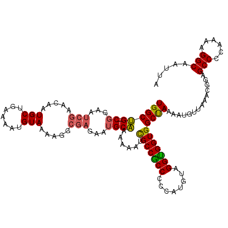 secondary structure