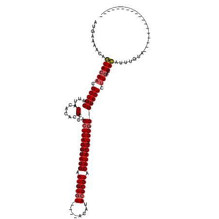 secondary structure