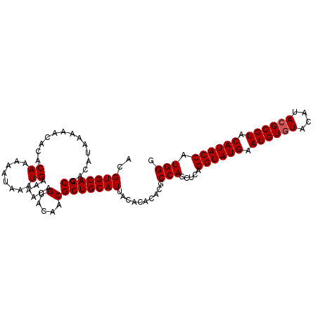 secondary structure