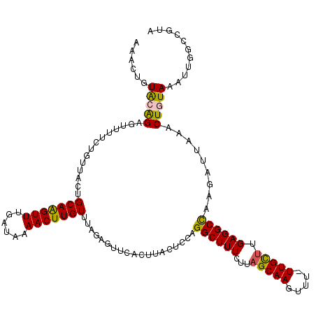 secondary structure