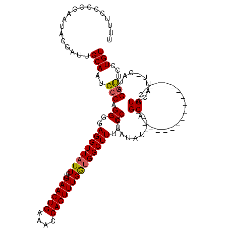 secondary structure
