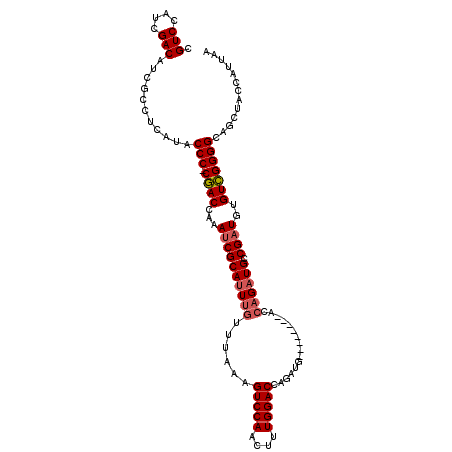 secondary structure
