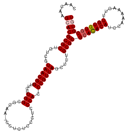 secondary structure