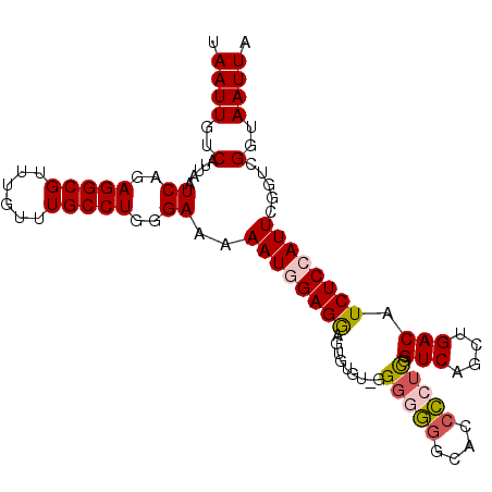 secondary structure