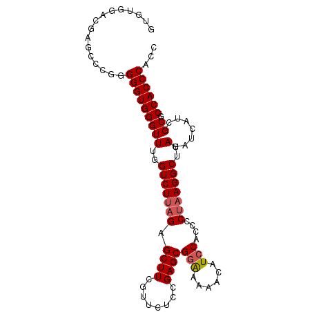 secondary structure