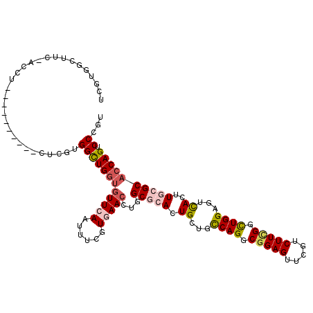 secondary structure