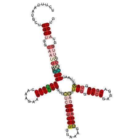 secondary structure