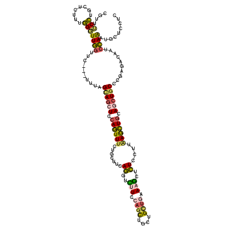 secondary structure
