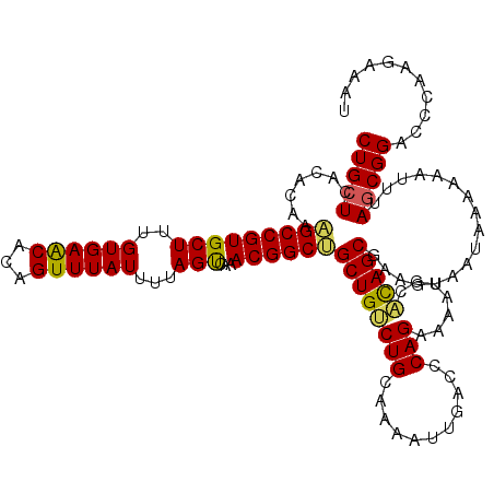 secondary structure