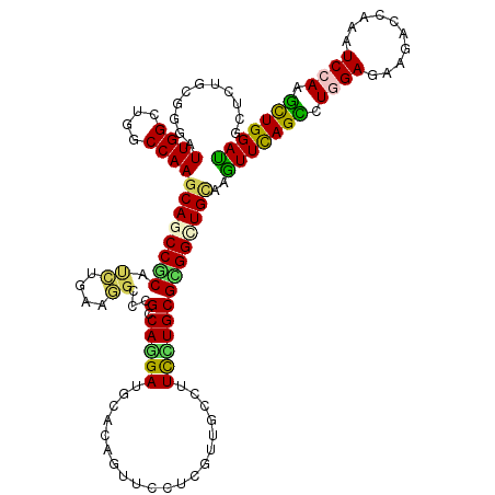 secondary structure