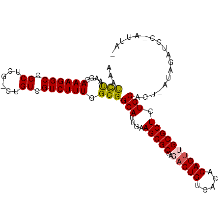 secondary structure