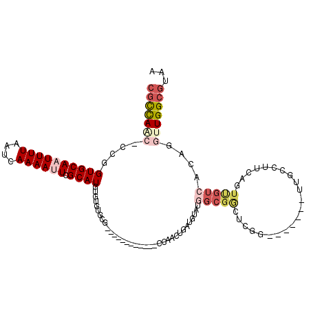secondary structure