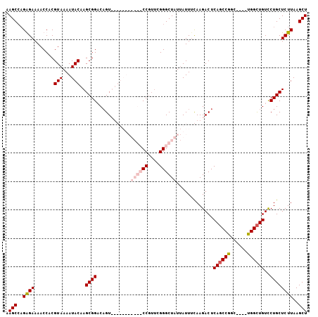 dotplot