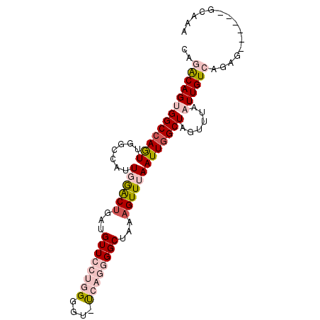 secondary structure