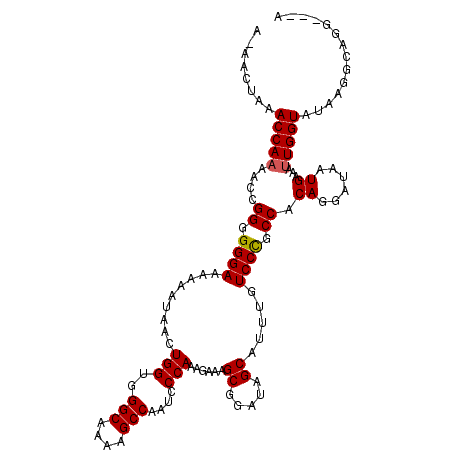 secondary structure