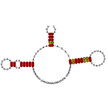secondary structure
