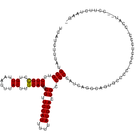 secondary structure
