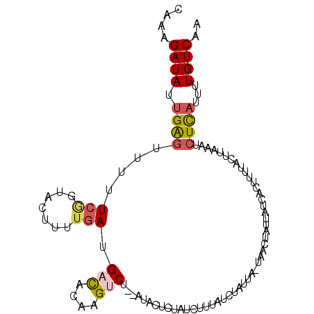 secondary structure