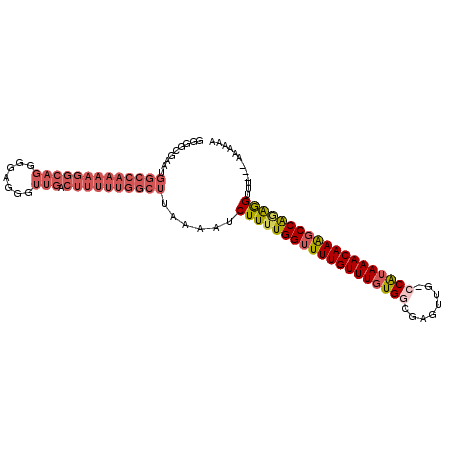 secondary structure
