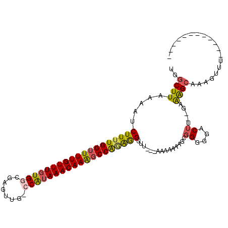 secondary structure
