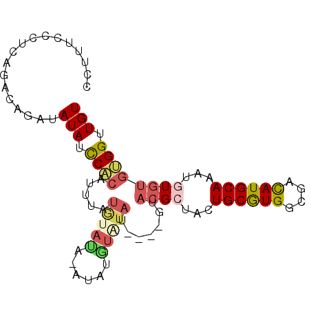 secondary structure